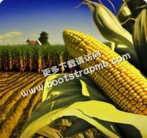 以专业服务，守护您的每一次精彩瞬间 - 南宫28APP