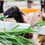 探索竞技的无限魅力 - 南宫28APP
